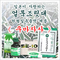 일본이 자랑하는 얼룩조릿대 원형질추출액 제품