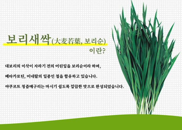 보리새싹(大麦若葉, 보리순) 이란?