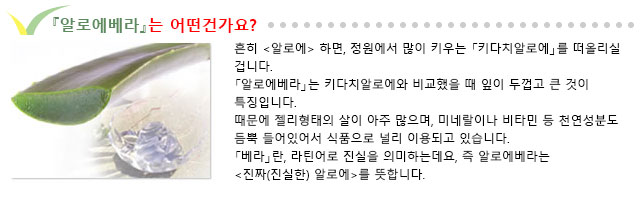 『알로에베라』는 어떤건가요?