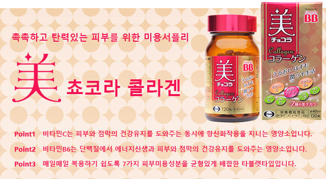 촉하고 탄력있는 피부를 위한 미용서플리 美 쵸코라 콜라겐