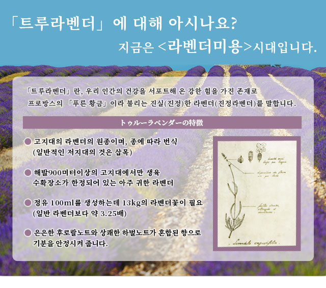「트루라벤더」에 대해 아시나요?지금은 <라벤더미용>시대입니다.