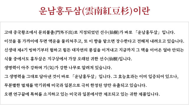 운남홍두삼(雲南紅豆杉)이란