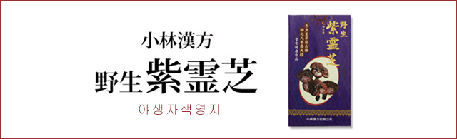 야생자색영지