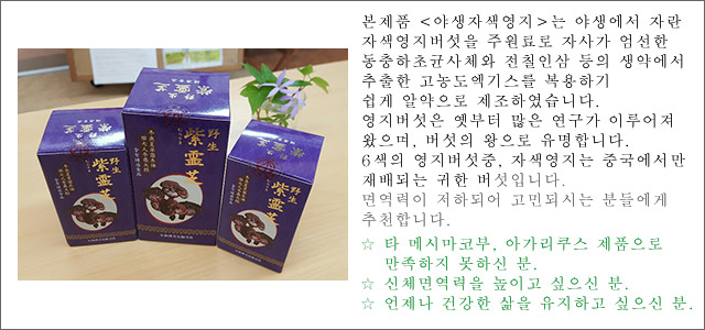 본제품 <야생자색영지>는 야생에서 자란 자색영지버섯을 주원료로 자사가 엄선한 동충하초균사체와 전칠인삼 등의 생약에서 추출한 고농도엑기스를 복용하기 쉽게 알약으로 제조하였습니다. 영지버섯은 옛부터 많은 연구가 이루어져 왔으며, 버섯의 왕으로 유명합니다. 6색의 영지버섯중, 자색영지는 중국에서만 재배되는 귀한 버섯입니다. 면역력이 저하되어 고민되시는 분들에게 추천합니다.