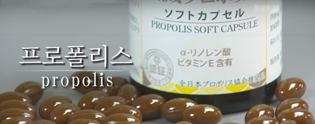 프로폴리스