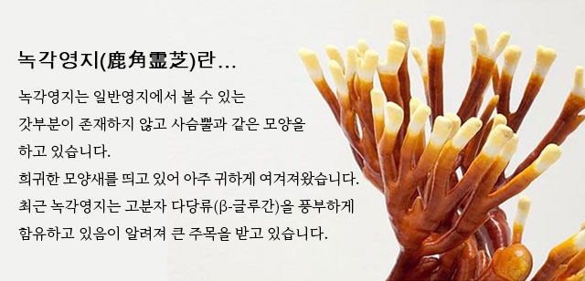 녹각영지(鹿角霊芝)란