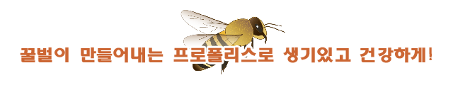 꿀벌이 만들어내는 프로폴리스로 생기있고 건강하게!