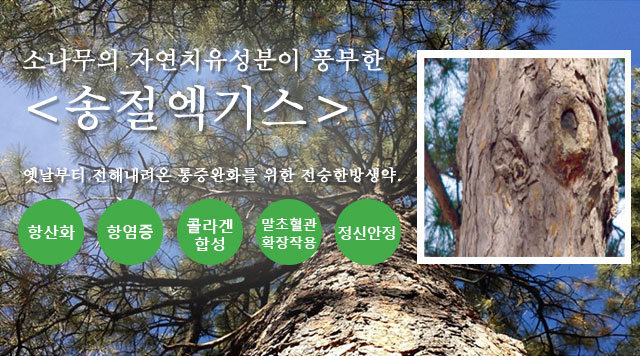 소나무의 자연치유성분이 풍부한 ＜송절엑기스＞
