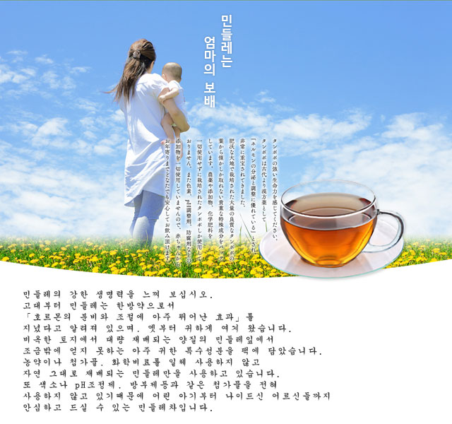민들레는 엄마의 보배